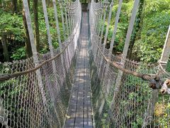 -新加坡飞禽公园