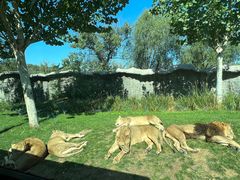 -北京野生动物园