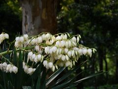 -苏州河梦清园环保主题公园