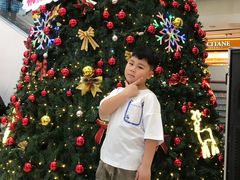 -皇家茱莉亚艺术明星训练基地