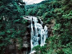 -海南热带雨林国家公园吊罗山景区