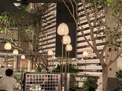 -桂满陇·海市蜃楼·黑金(国金店)