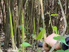 -会稽山峡洞漂流-上青古道