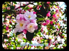 -海棠花溪(元大都城垣遗址公园)