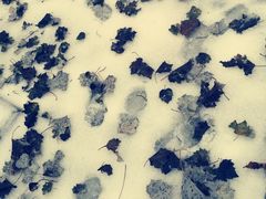 -长春银盐咖啡馆