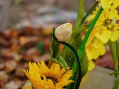 -蜀冈西峰生态公园