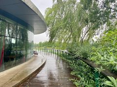 -尚贤河湿地