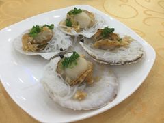 海岛渔村大酒店-海岛渔村大酒店(云霄路店)