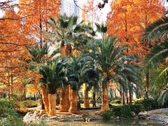 -苏州河梦清园环保主题公园