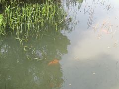 -八卦田遗址公园