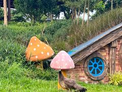 -森波拉奇妙世界