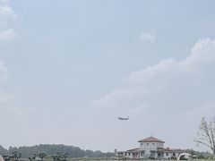 -空港花田景区