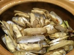 啫圣子-稻香酒家(天河城店)