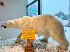 -魏客咖啡(中铁中心店)