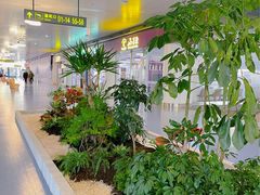 -银川河东国际机场