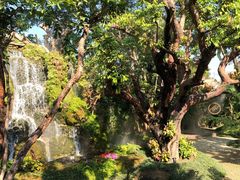 -Chom Cafe and Restaurant