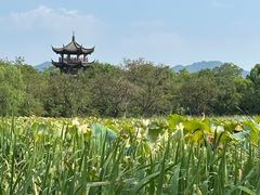 -西溪国家湿地公园