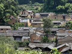 -杨家堂村