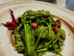 椒麻鸭唇-辛香汇·现炒川菜(淮海路百盛店)