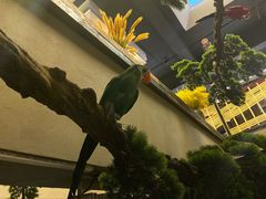 景观位-田趣园长沙菜(天安云谷店)
