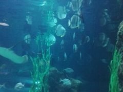 -南昌海洋公园