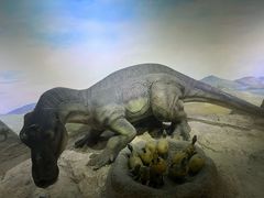 -国家自然博物馆