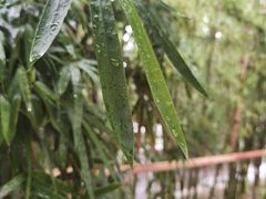 -江宁织造博物馆