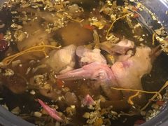 -百利鸽王(紫薇路店)