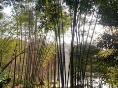 -广州市白云山风景名胜区