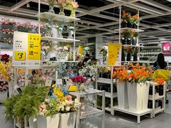 -宜家家居(高新商场店)