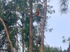 -重庆雨台山风景区