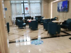 -碧莲盛·不剃发植发