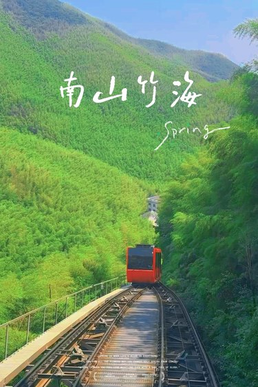 25℃的天然氧吧，把夏天过成绿色童话🌿
