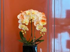 -笨罗卜浏阳菜馆(太平街店)