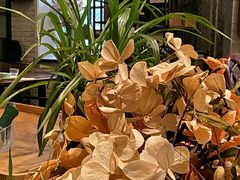 -阳光家常菜(泉城路店)