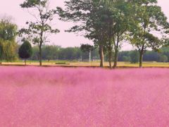 -汉长安城未央宫国家考古遗址公园