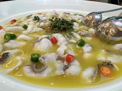 -青花椒花椒鱼(合生汇店)