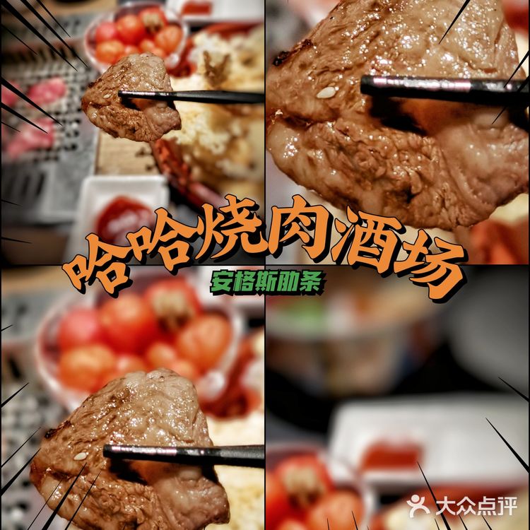 哈尔滨美食推荐|浪漫优雅的哈哈烧肉酒场