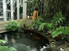 -Fern Forest Cafe