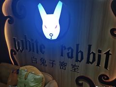 -白兔子密室(长寿路店)
