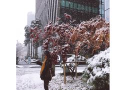 -BHC炸鸡(明洞总店)