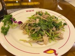 芫爆肚丝-燕风楼烤鸭店(建设总店)