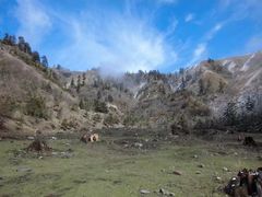 -硗碛藏寨·神木垒景区