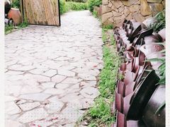 -远山有窑