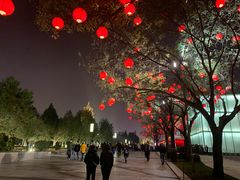 -大雁塔北广场音乐喷泉