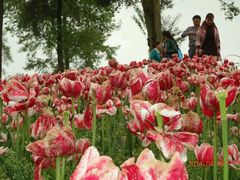 -保利石象湖景区