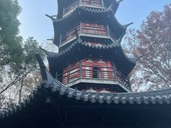 -上海佘山国家森林公园西佘山园