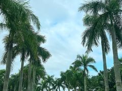 -中信山钦湾高尔夫俱乐部