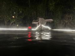 -宁波杭州湾海底温泉