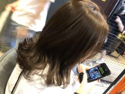 -藤野造型